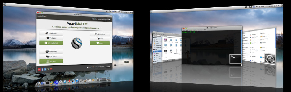 "Pearl OS
                    available in MATE XFCE GNOME and PearlDE"
